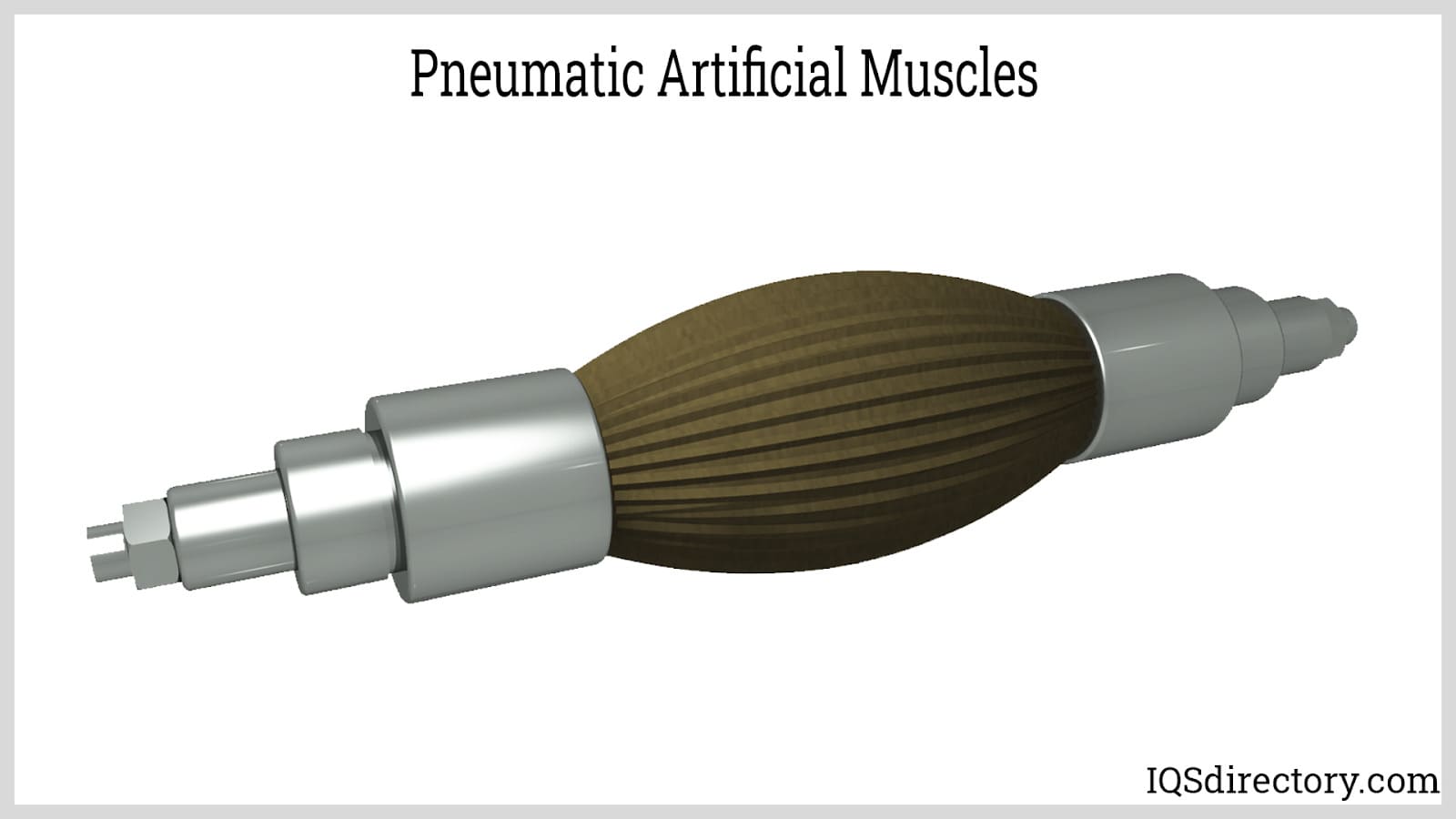 Pneumatic Artificial Muscles